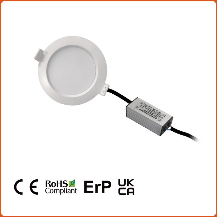 LED Down Light IP65