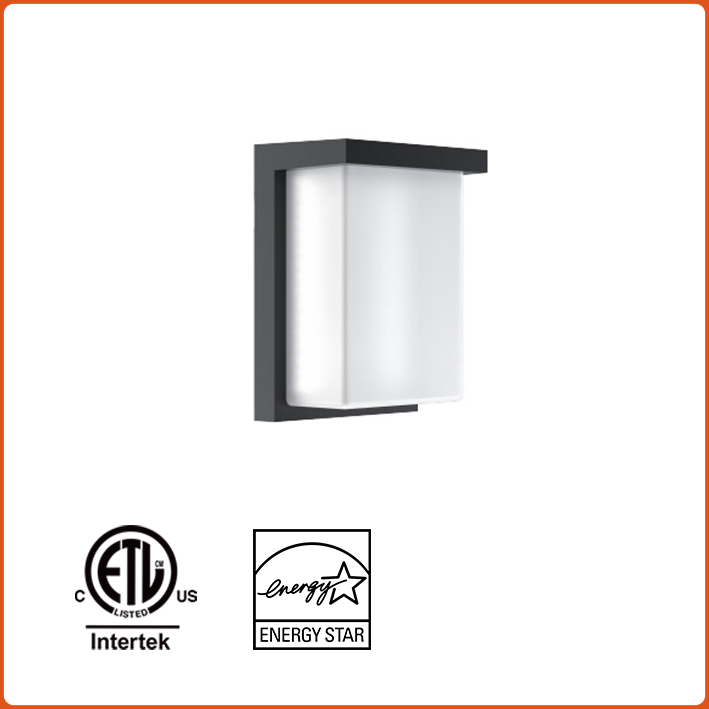 LED Wall Sconce Light