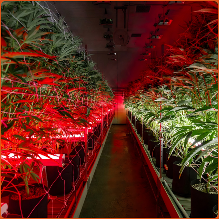 LED Under Canopy Light 120W