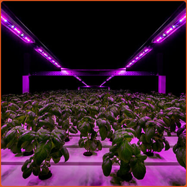 LED Grow Light Moudule Bar