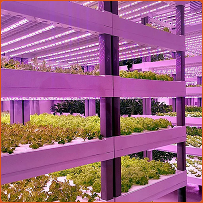 T9 LED Grow Light Tube