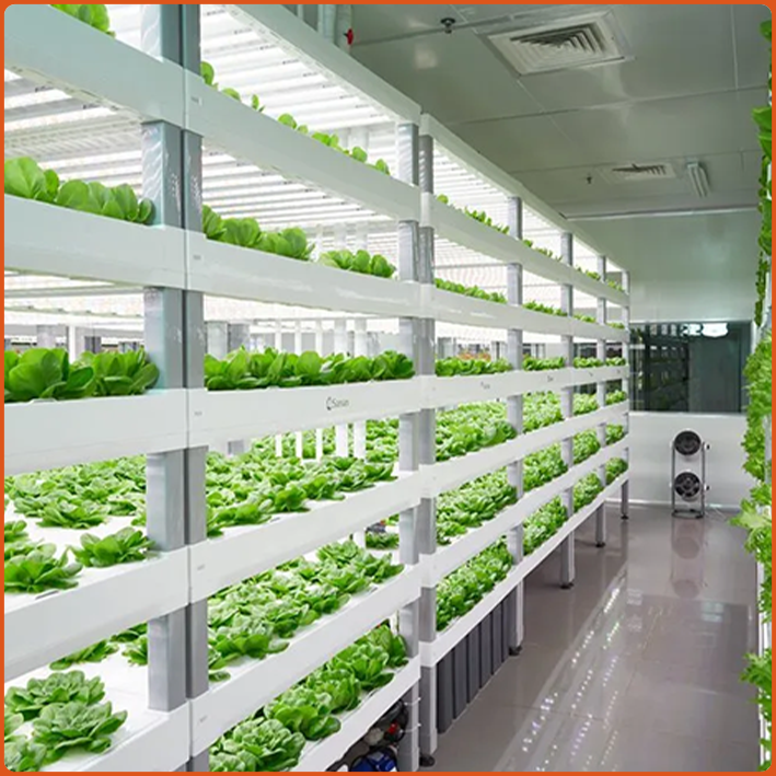 T10 LED  Grow Light Tube