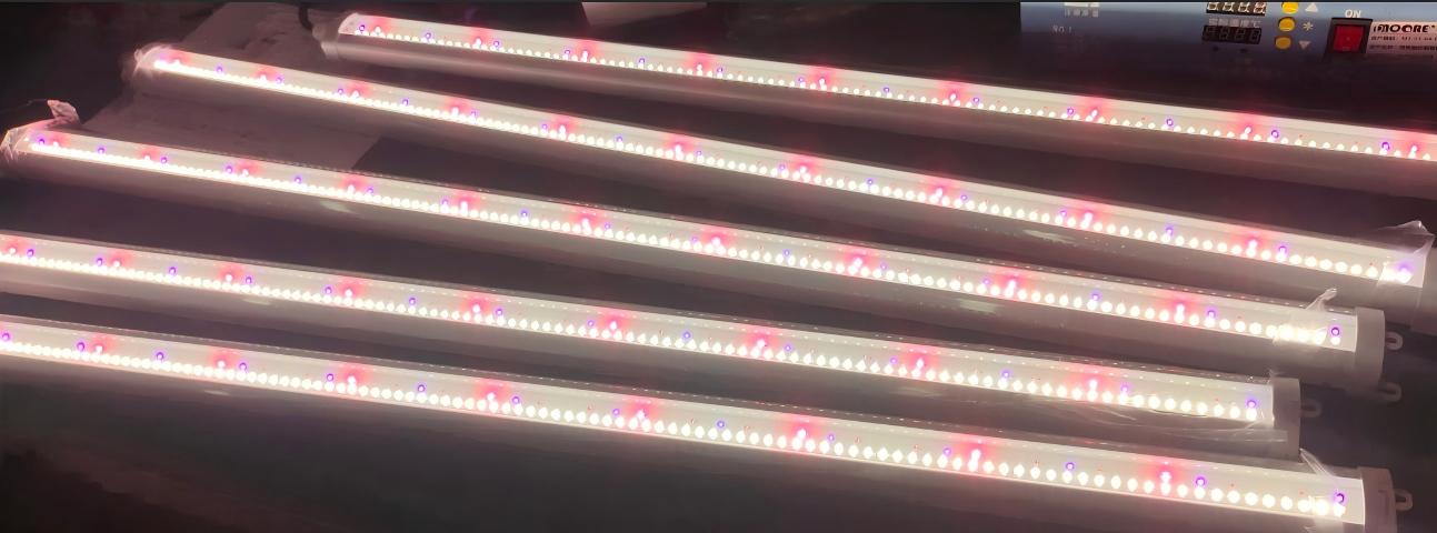 Why Do LED Grow Lights Fail Early? The 