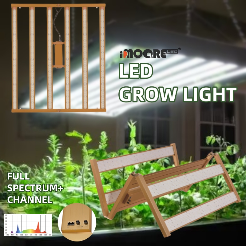 How to Choosing the Best Grow Lights fo