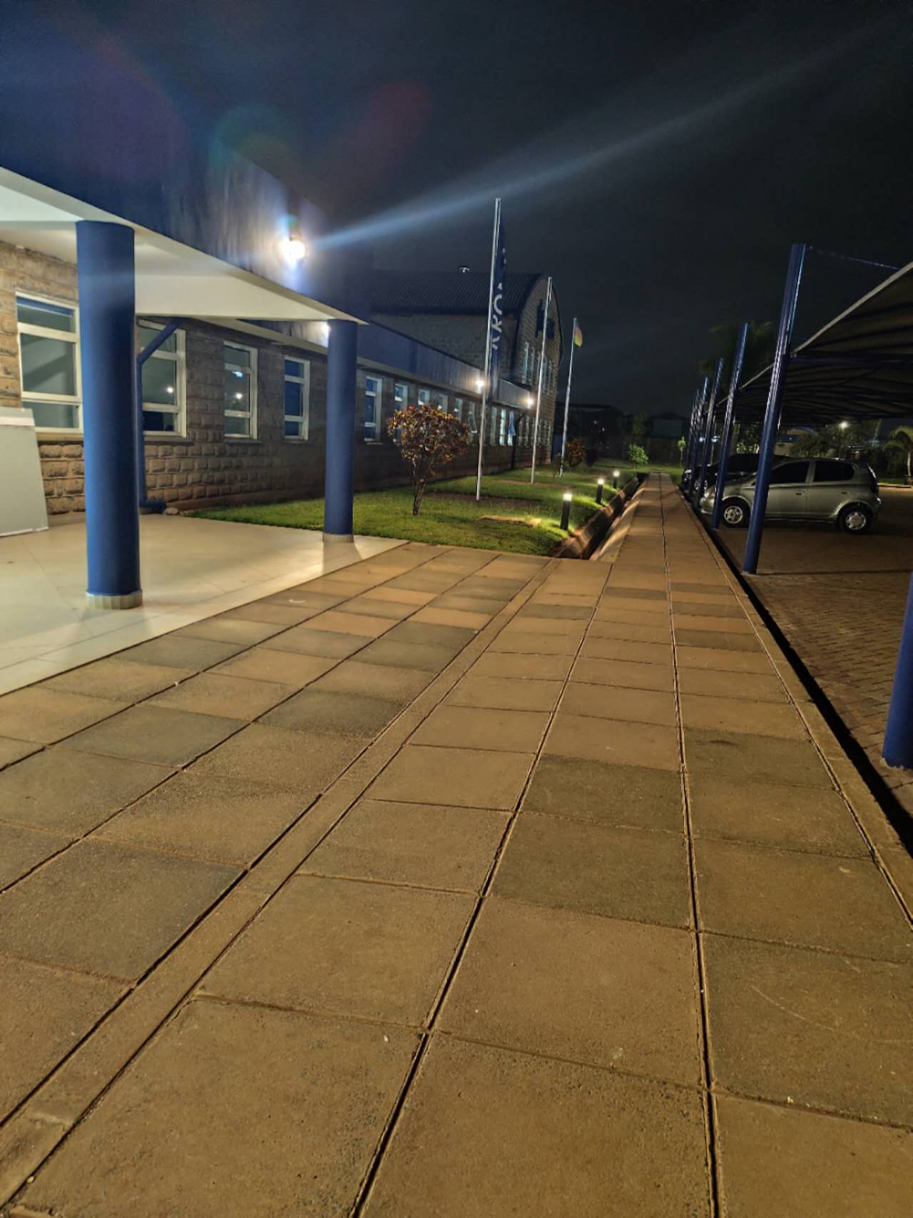Africa Public Institution