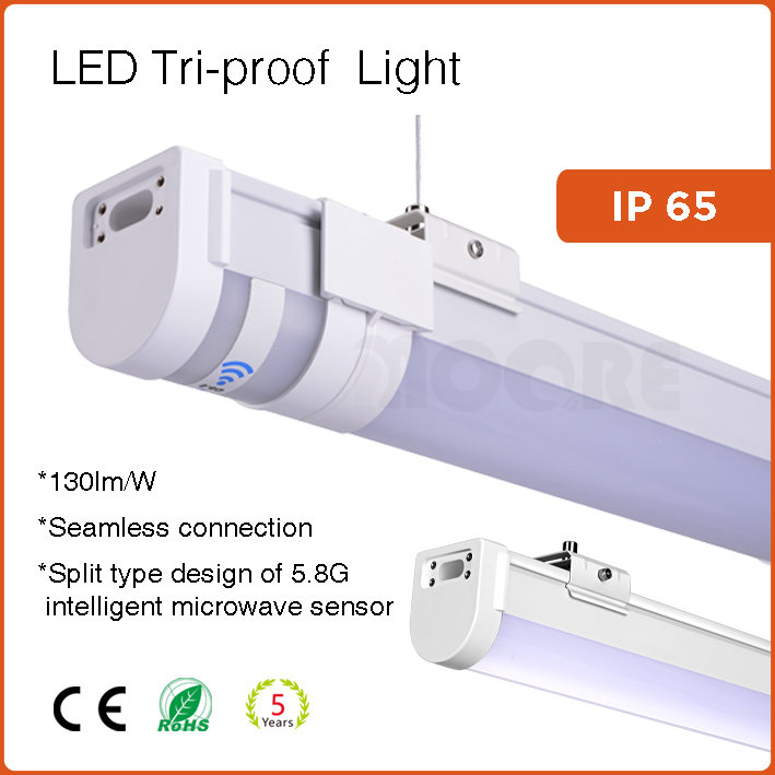 LED Tri-proof  light