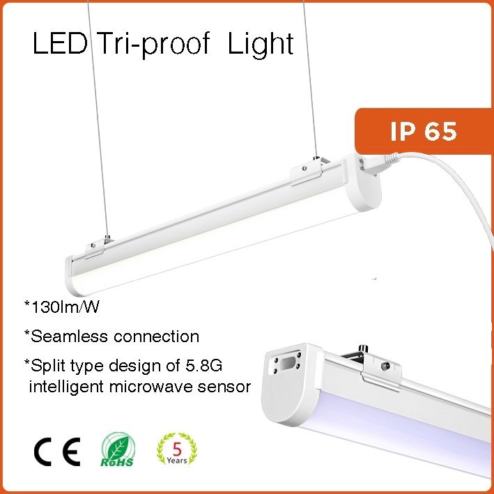 Multi-LED Tri-proof light