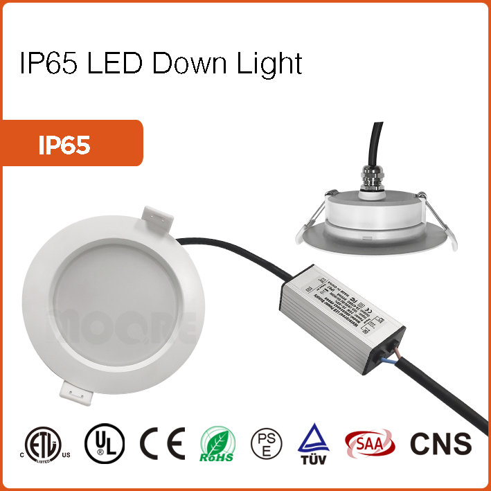 IP65 LED Down Light