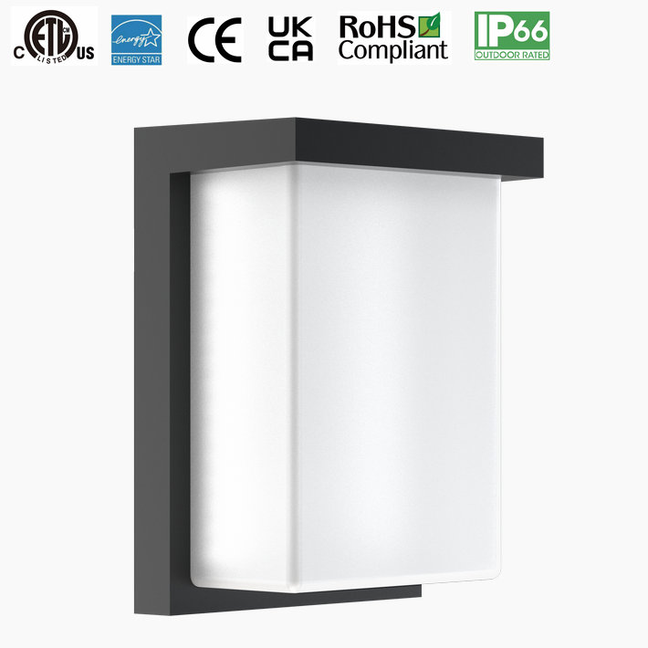 LED Wall Sconce Light